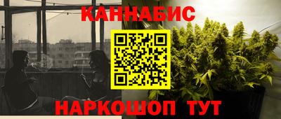 сатива Кимры