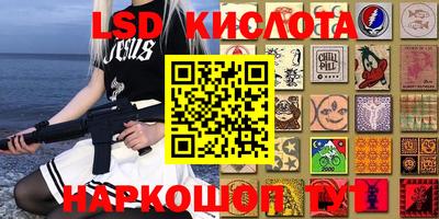 Альфа ПВП Канаш