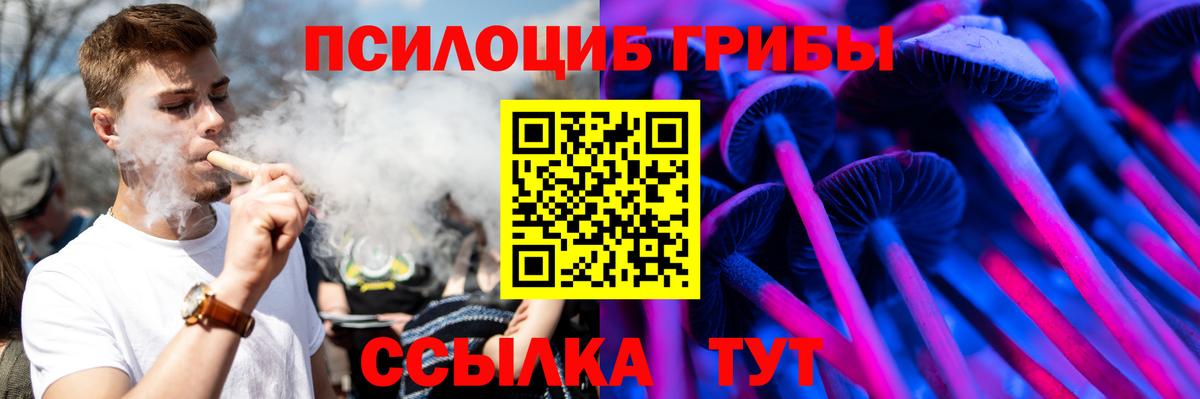 Балашов  Псилоцибиновые грибы ЛСД  Вход с VPN 